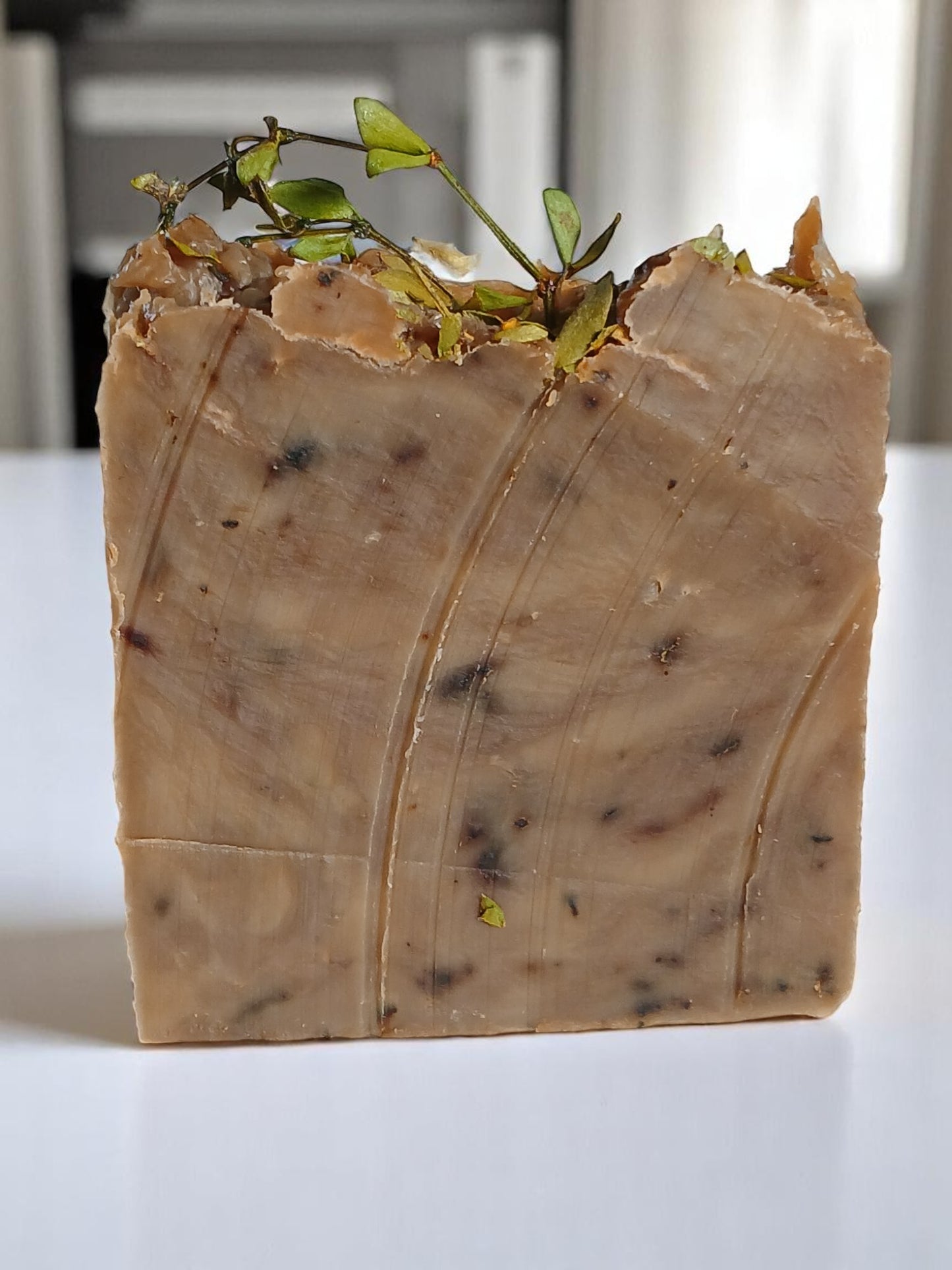 Desert Rain Artisan Handmade Soap | Creosote | Goat Milk