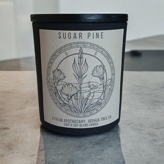 Pine Juniper Vanilla Candle | Sugar Pine | 10oz Soy Blend | Winter Berry Scent | Holiday Gift"