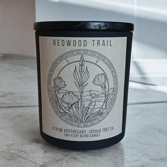 Cinnamon Cedar Forest Candle | Redwood Trail | 10oz Soy Blend |